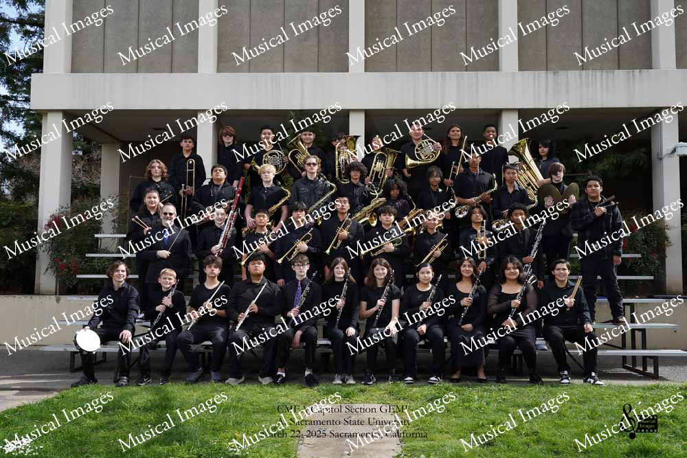 Musical Images